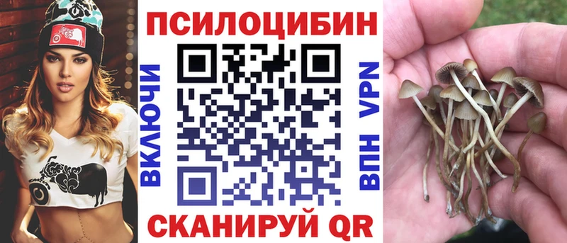 Псилоцибиновые грибы Cubensis  Краснотурьинск 